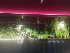 -沪小胖·小龙虾·蓝龙王(八佰伴店)