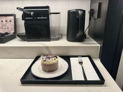 -新加坡乌节希尔顿酒店 (SG Clean)