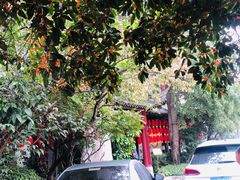 -钦善斋(武侯祠店)