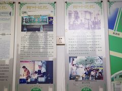 -阿叶羊杂碎(前进街店)