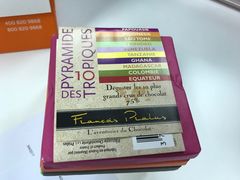 -乐蓬马歇百货公司(Rive Gauche)