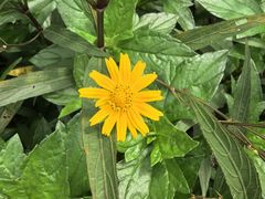 -怡海公园(桂城街道)