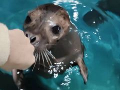 -嘉兴海底世界