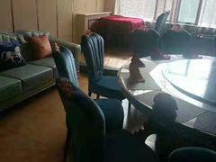 -清真悦宾楼食府(海湖店)