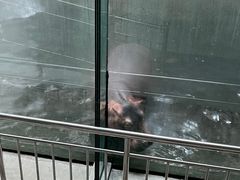 -石家庄极地海洋世界