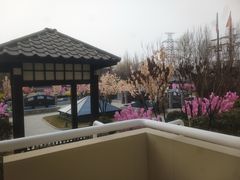 -南宫温泉水世界