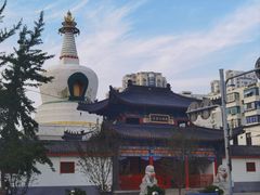 -西塔