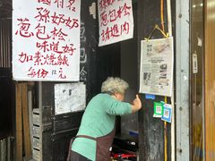 -孙奶奶葱包桧