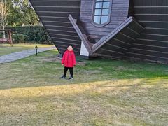 -金山农民画村-枫泾波兰倒置屋