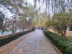 -方庄体育公园