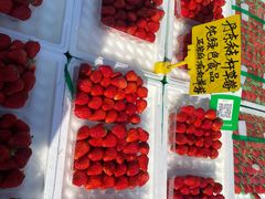 -桃源市场(解放路店)