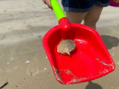 -红月湾海鲜饭店•沙滩海景(双月湾店)