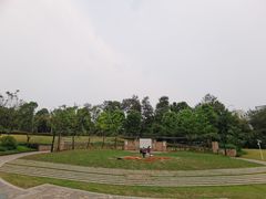 -成都蒲江花样年福朋喜来登度假酒店·宜客乐西餐厅