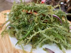 鹿角菜-老白驼退骨特色美食