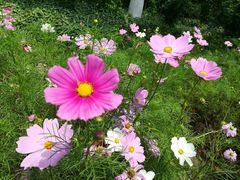 -重庆医科大学附属第一医院(金山院区)