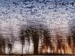 -上海虹桥当代艺术馆