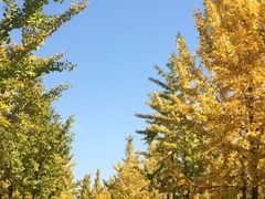 -黄河小浪底水利枢纽风景区