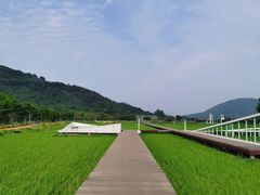 -艾米稻香小镇