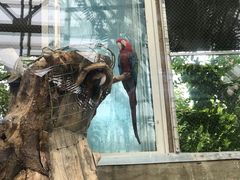 -大连森林动物园