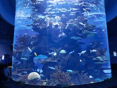 -多彩贵州城极地海洋世界