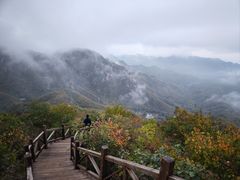 -大岭沟猕猴桃谷风景区