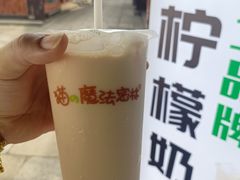 -猫的魔法密林(衣裳街店)
