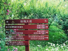 -鹅湖玫瑰文化园