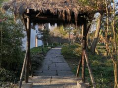 -西溪国家湿地公园