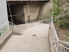 -白水寺森林公园