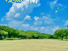 -顺峰山公园