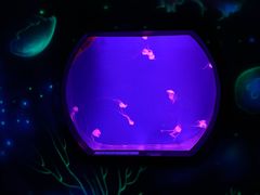 -沈阳海洋探索中心