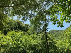 -抱龙峪