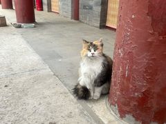 -时光漫步酒店(北京雍和宫南锣鼓巷后海店)