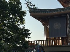 -南普陀寺
