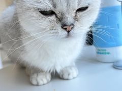 -怪兽屋·羊驼·猫咖·狗咖(俊华广场店)