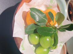 -季季山·云南野生菌火锅(上海首店)