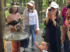 -黄海国家森林公园