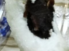 -棉小雪·雪棉豆沙(老安东街店)