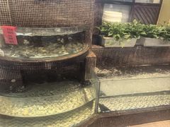 -黄泥岗·地道湖北菜(奥特莱斯店)