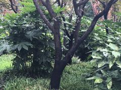 -兰溪青年公园