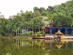 -西双版纳原始森林公园