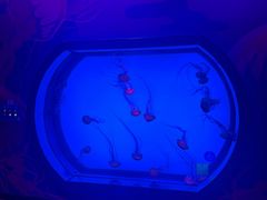 -沈阳海洋探索中心