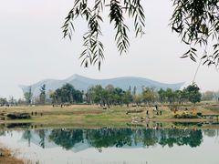 -桂溪生态公园