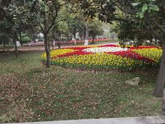 -上海鲜花港