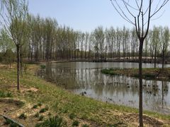 -东郊湿地公园