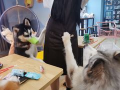 -汪说·狗咖(旺城大厦店)