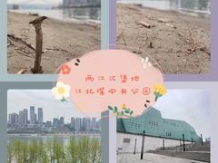 -重庆市江北嘴中央商务区中央公园