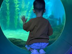 -常州海昌海洋探索馆