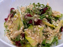 养生大拌菜-簋街仔仔小龙虾(总店)