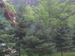 android_upload_pic-陕西省红河谷森林公园